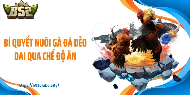 Bí quyết nuôi gà đá dẻo dai qua chế độ ăn