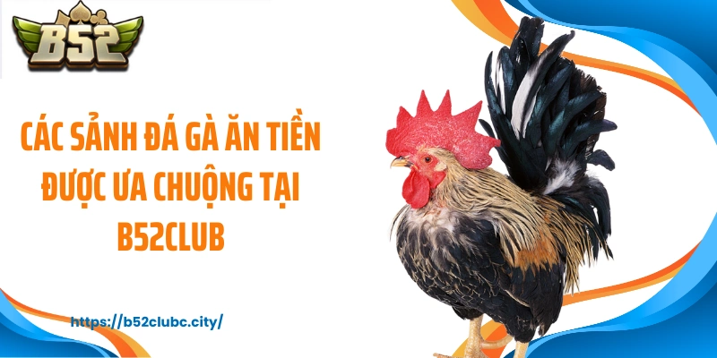 Các sảnh đá gà ăn tiền được ưa chuộng tại B52CLUB