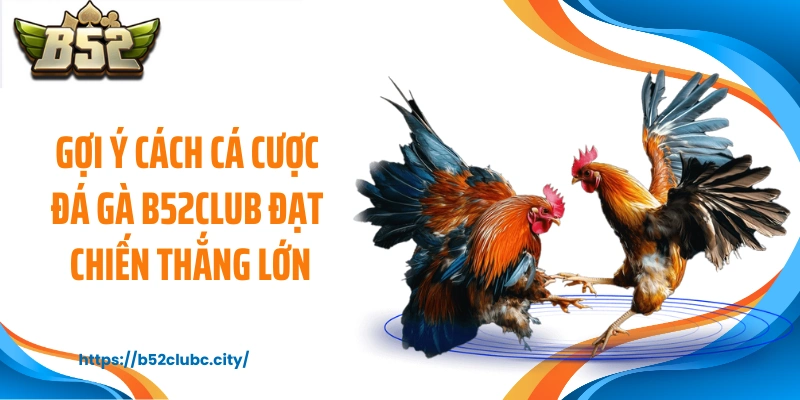 Gợi ý cách cá cược đá gà B52CLUB đạt chiến thắng lớn