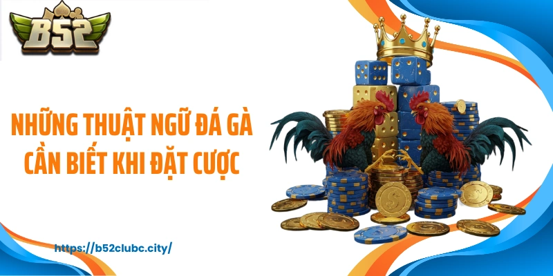 Những thuật ngữ đá gà cần biết khi đặt cược