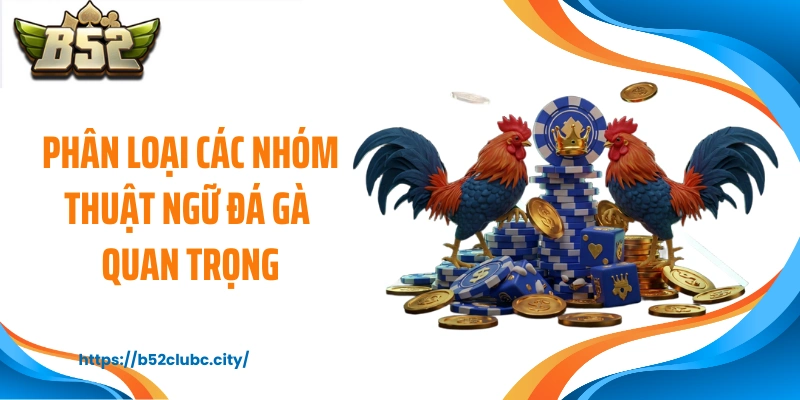 Phân loại các nhóm thuật ngữ đá gà quan trọng